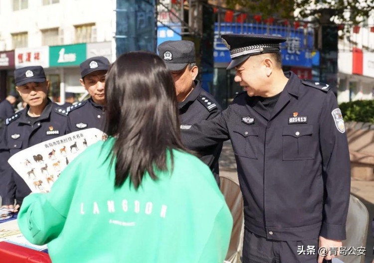 现场办犬牌申请电子居住证安装反诈APP……周末这里警色十足