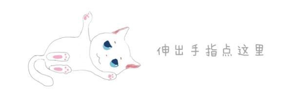 冬季猫咪易感冒，宠物保暖有三策，让喵星人受冻无恙！