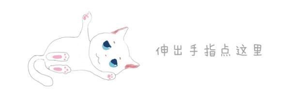 奶牛猫充当信使为铲屎官送信，八年后不幸辞世后，信友为猫咪聚首