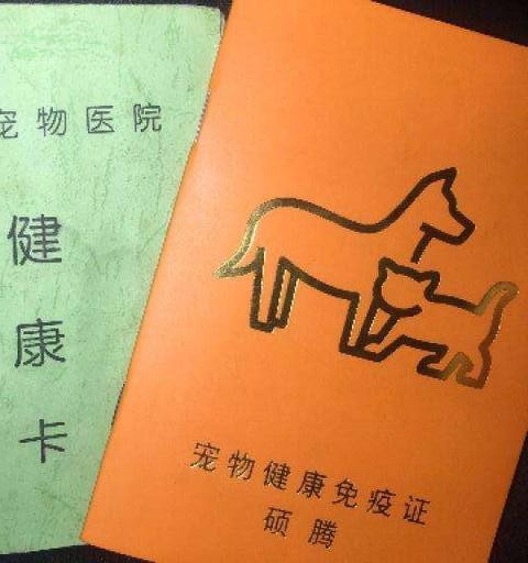 有以下5种情况的狗狗是绝对不能上飞机的托运也不行