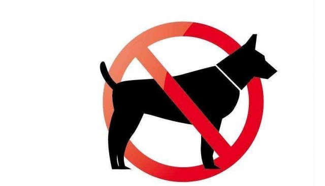 “狗狗禁养名单”，德国牧羊犬被禁养，一只优秀又忠诚的犬种